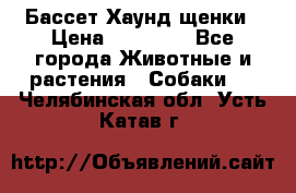 Бассет Хаунд щенки › Цена ­ 20 000 - Все города Животные и растения » Собаки   . Челябинская обл.,Усть-Катав г.